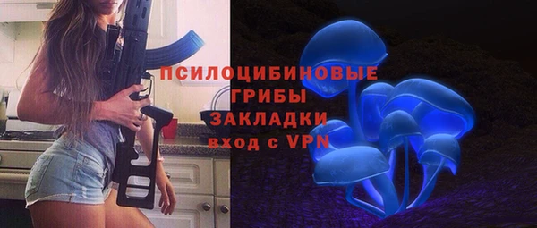 индика Баксан