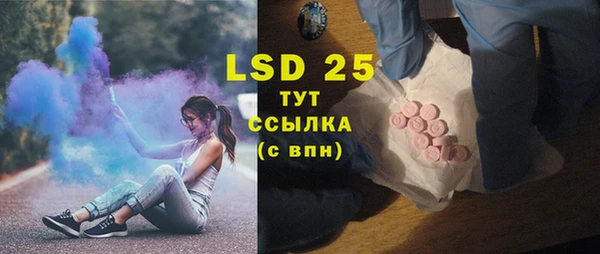 индика Баксан