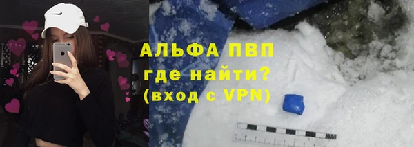 индика Баксан