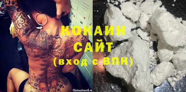 индика Баксан