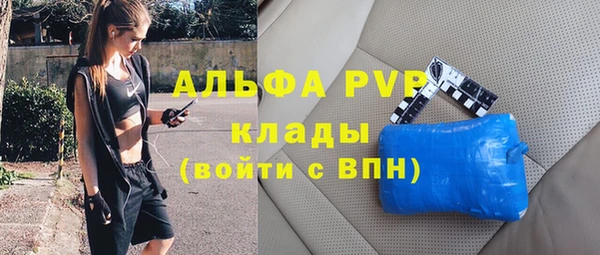 индика Баксан