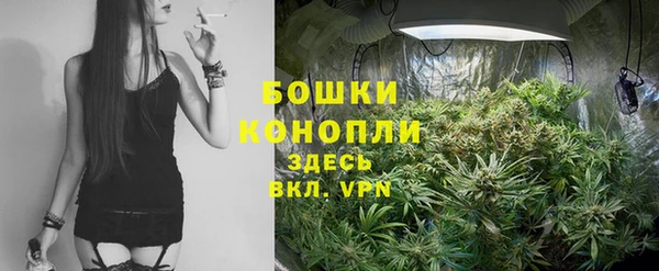индика Баксан