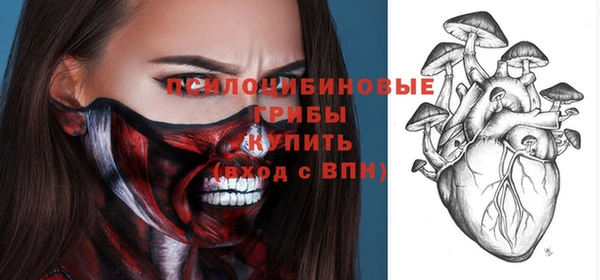 индика Баксан