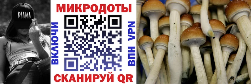 Галлюциногенные грибы MAGIC MUSHROOMS  omg онион  Обь 